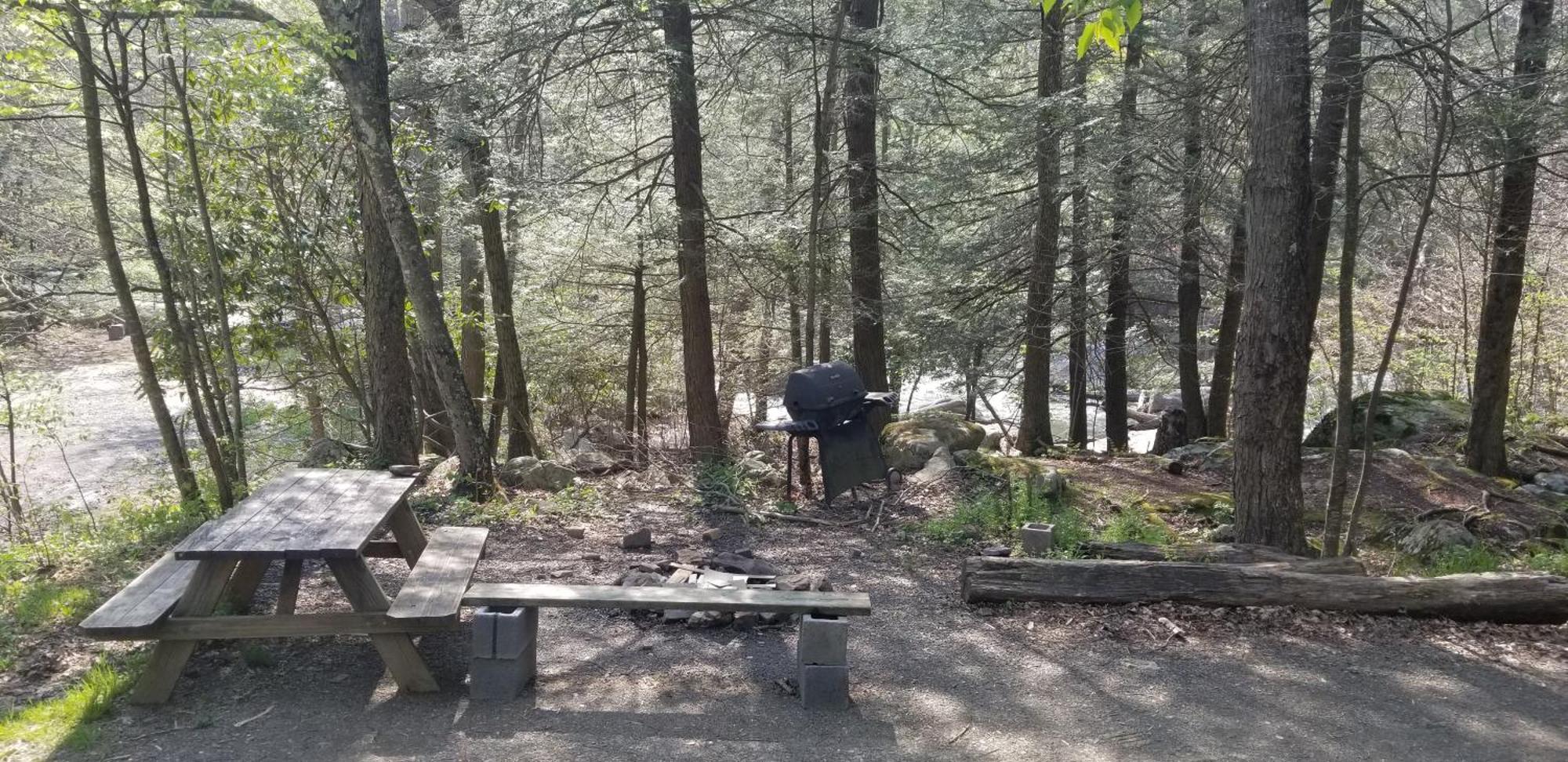 Mount Storm Abrams Creek Campground מראה חיצוני תמונה