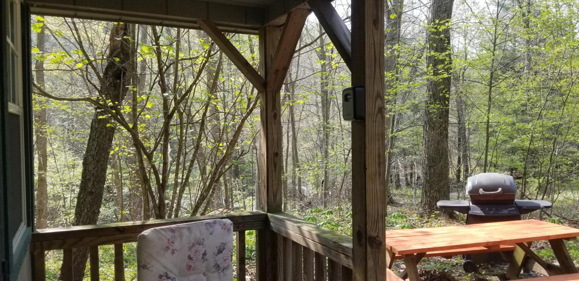 Mount Storm Abrams Creek Campground מראה חיצוני תמונה
