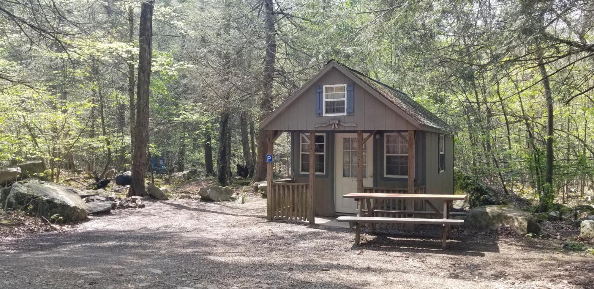 Mount Storm Abrams Creek Campground מראה חיצוני תמונה