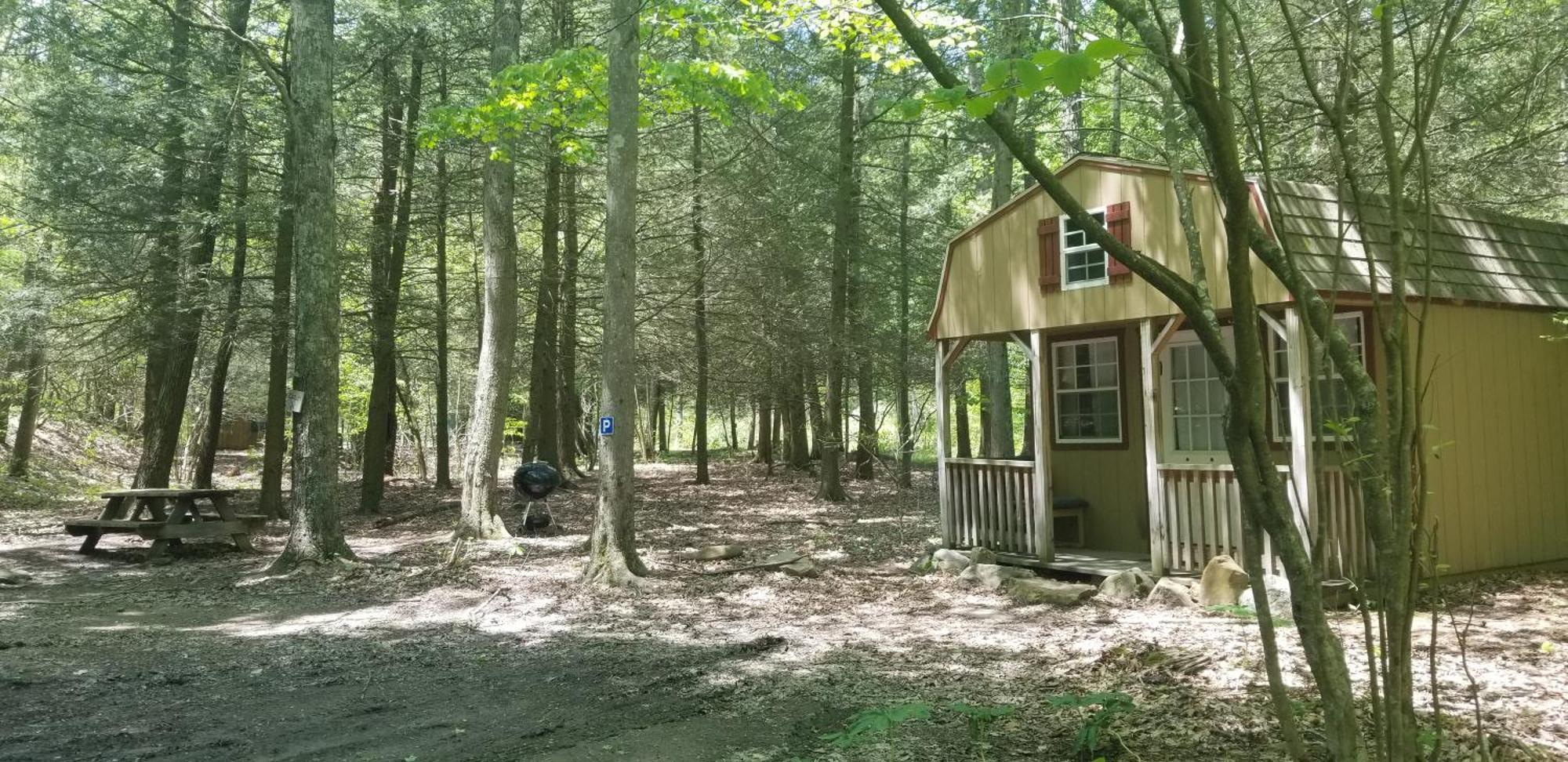 Mount Storm Abrams Creek Campground מראה חיצוני תמונה