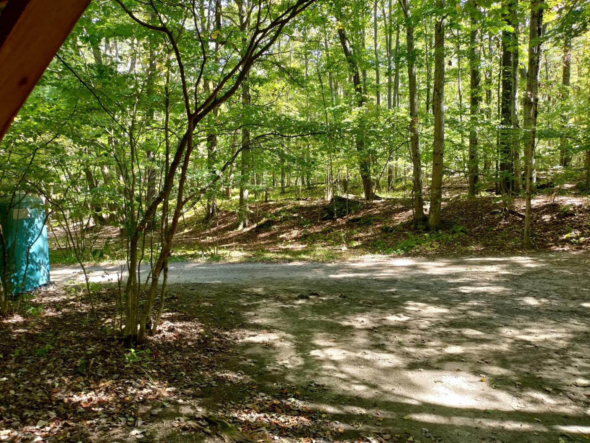 Mount Storm Abrams Creek Campground מראה חיצוני תמונה