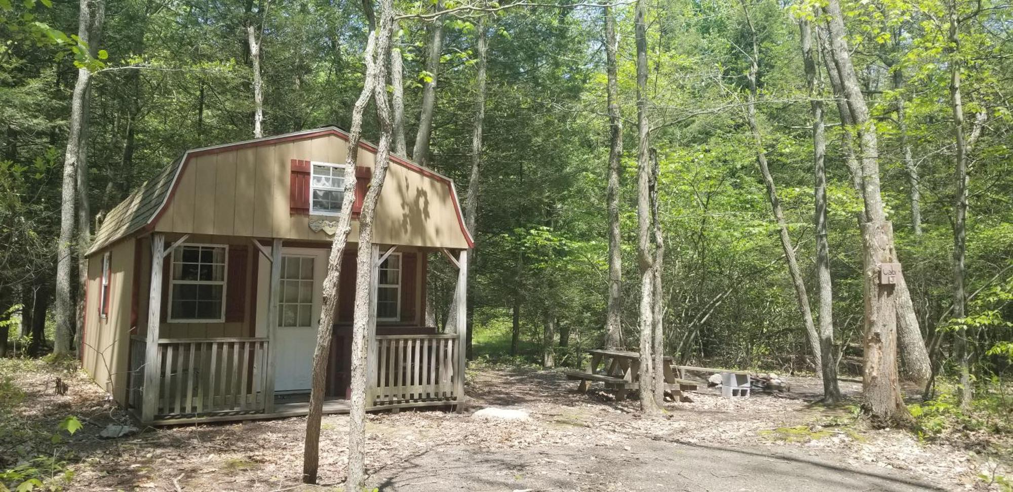 Mount Storm Abrams Creek Campground מראה חיצוני תמונה