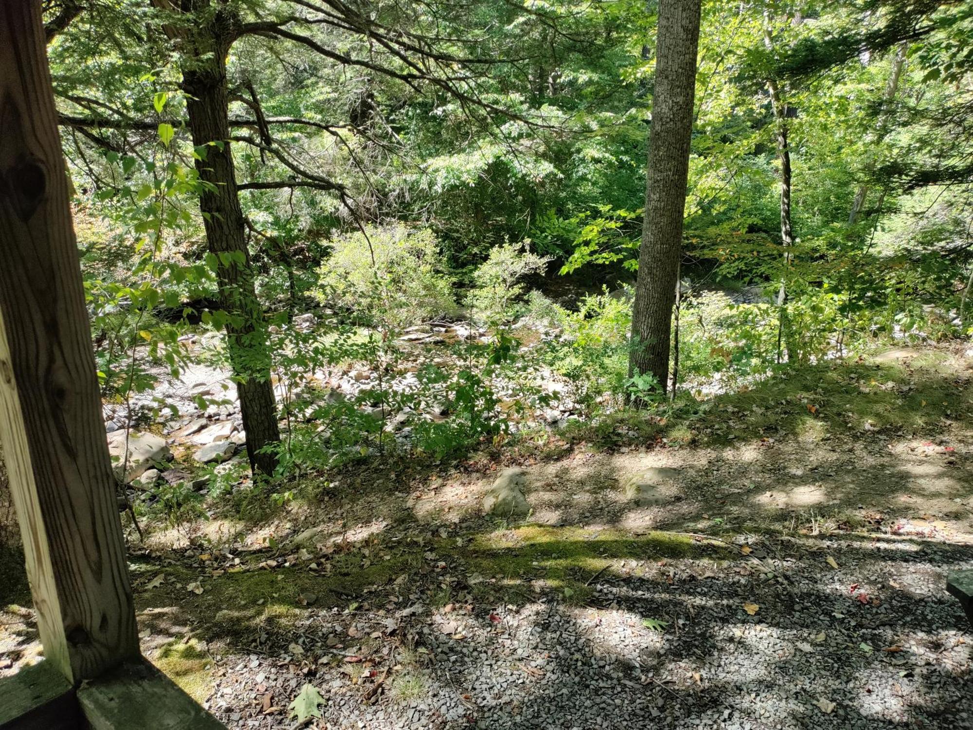 Mount Storm Abrams Creek Campground מראה חיצוני תמונה