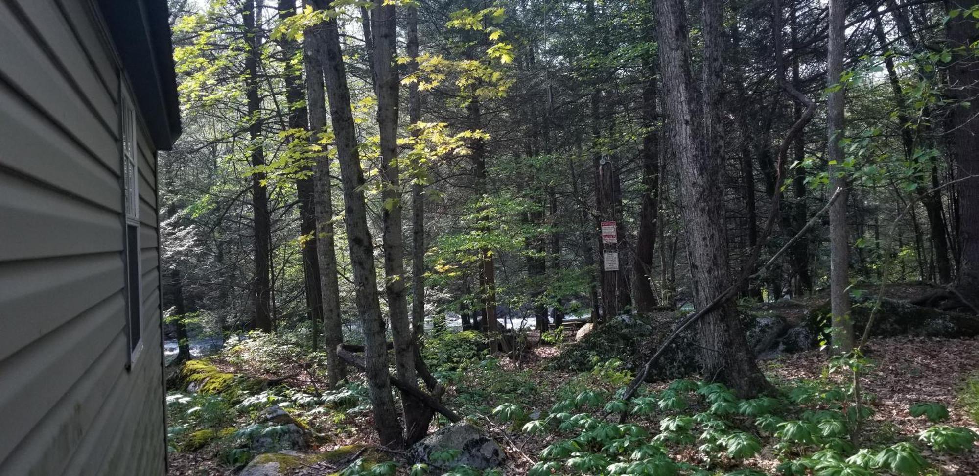 Mount Storm Abrams Creek Campground מראה חיצוני תמונה