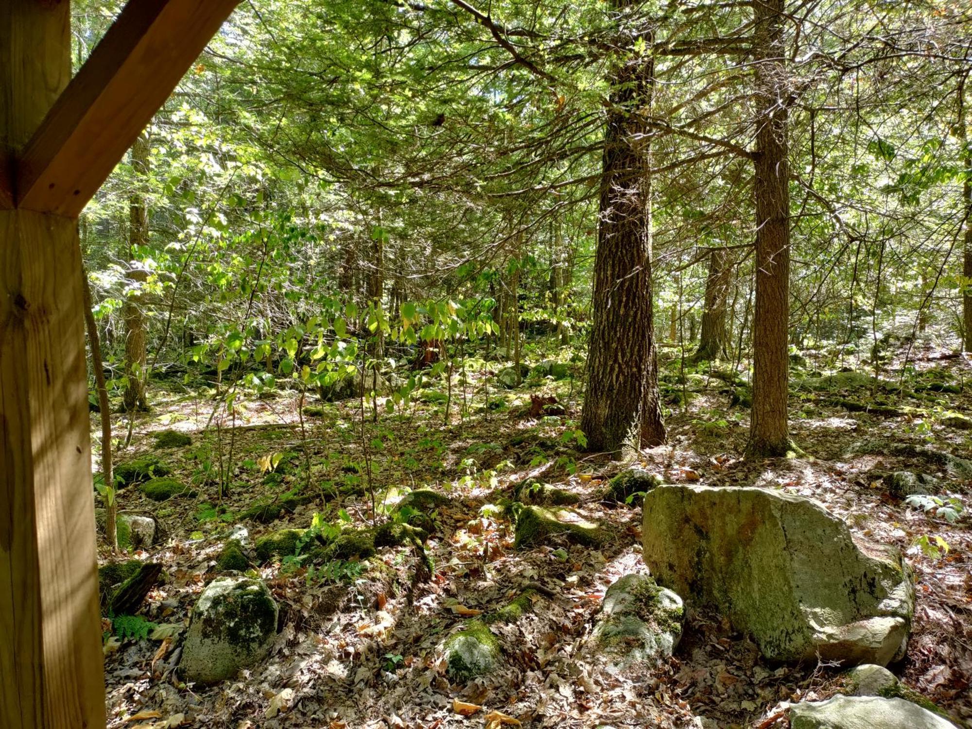 Mount Storm Abrams Creek Campground מראה חיצוני תמונה