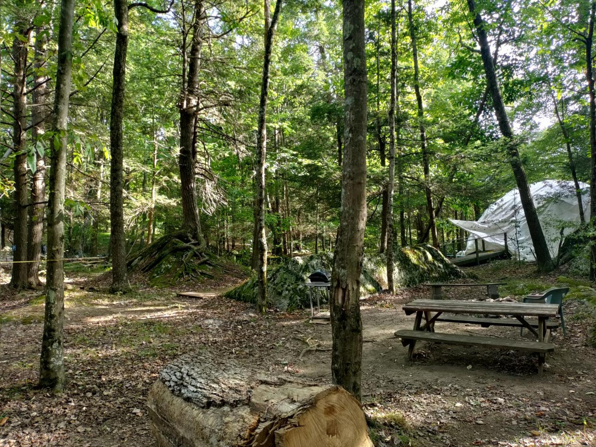 Mount Storm Abrams Creek Campground מראה חיצוני תמונה