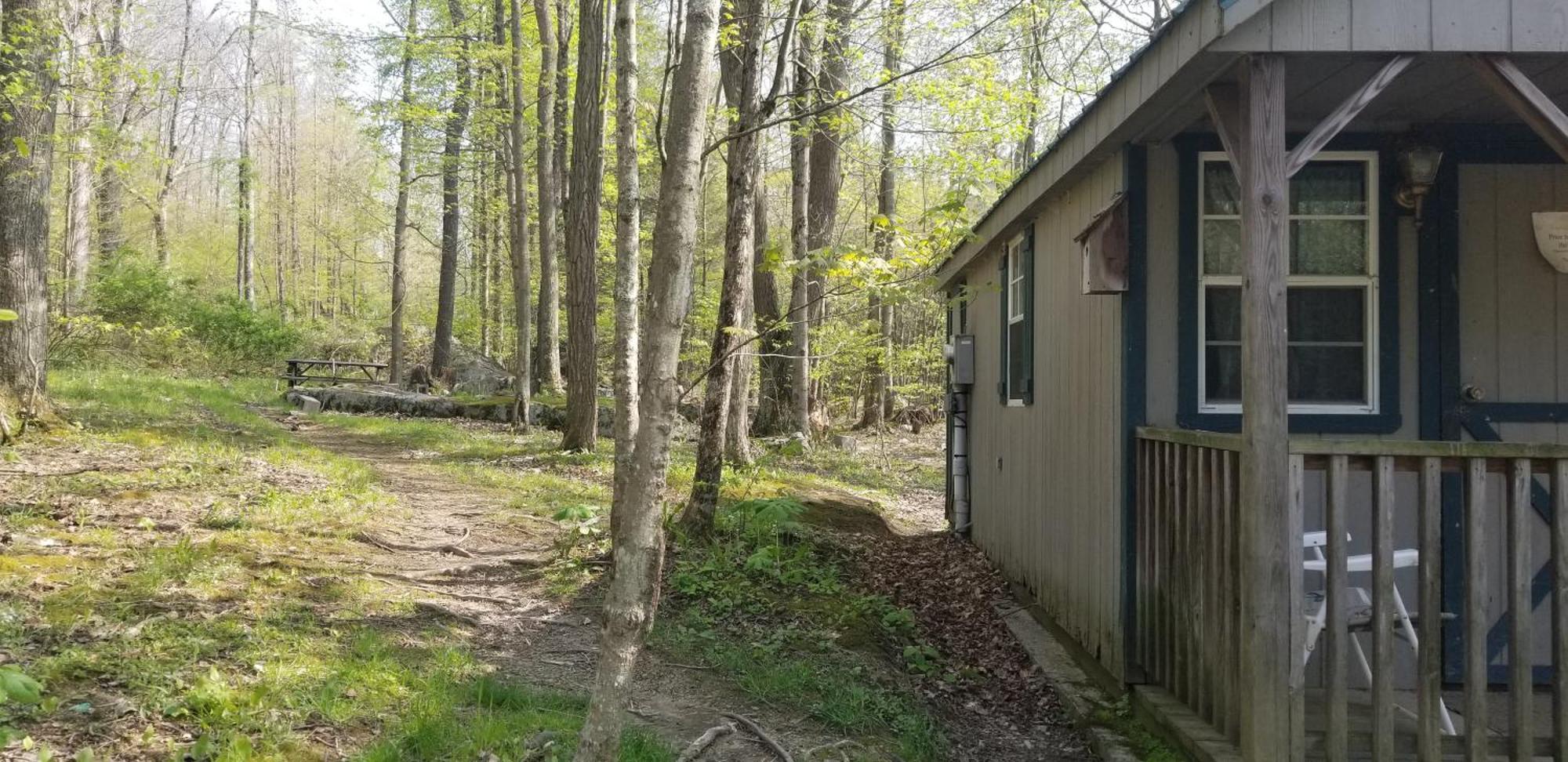 Mount Storm Abrams Creek Campground מראה חיצוני תמונה