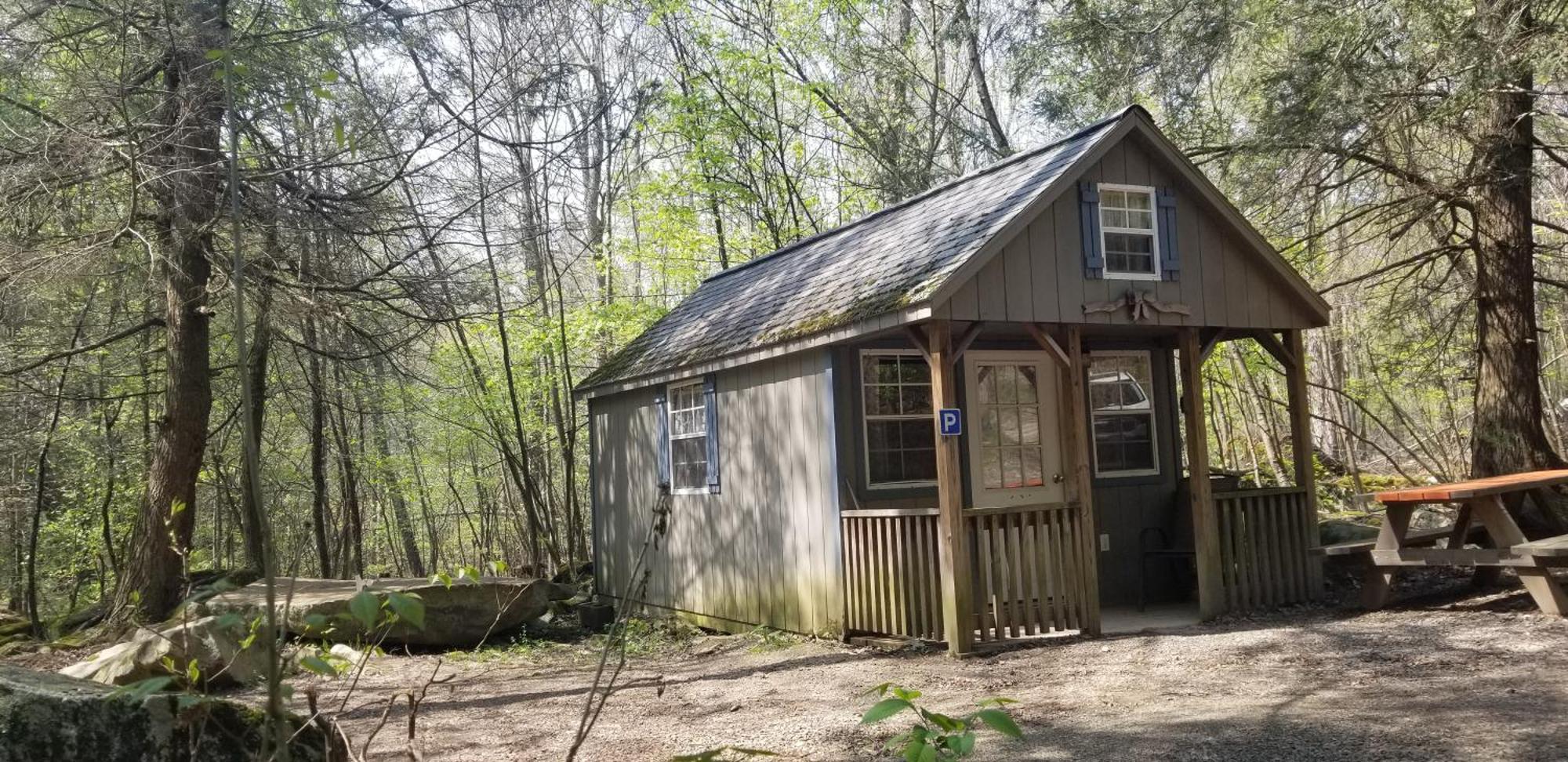 Mount Storm Abrams Creek Campground מראה חיצוני תמונה