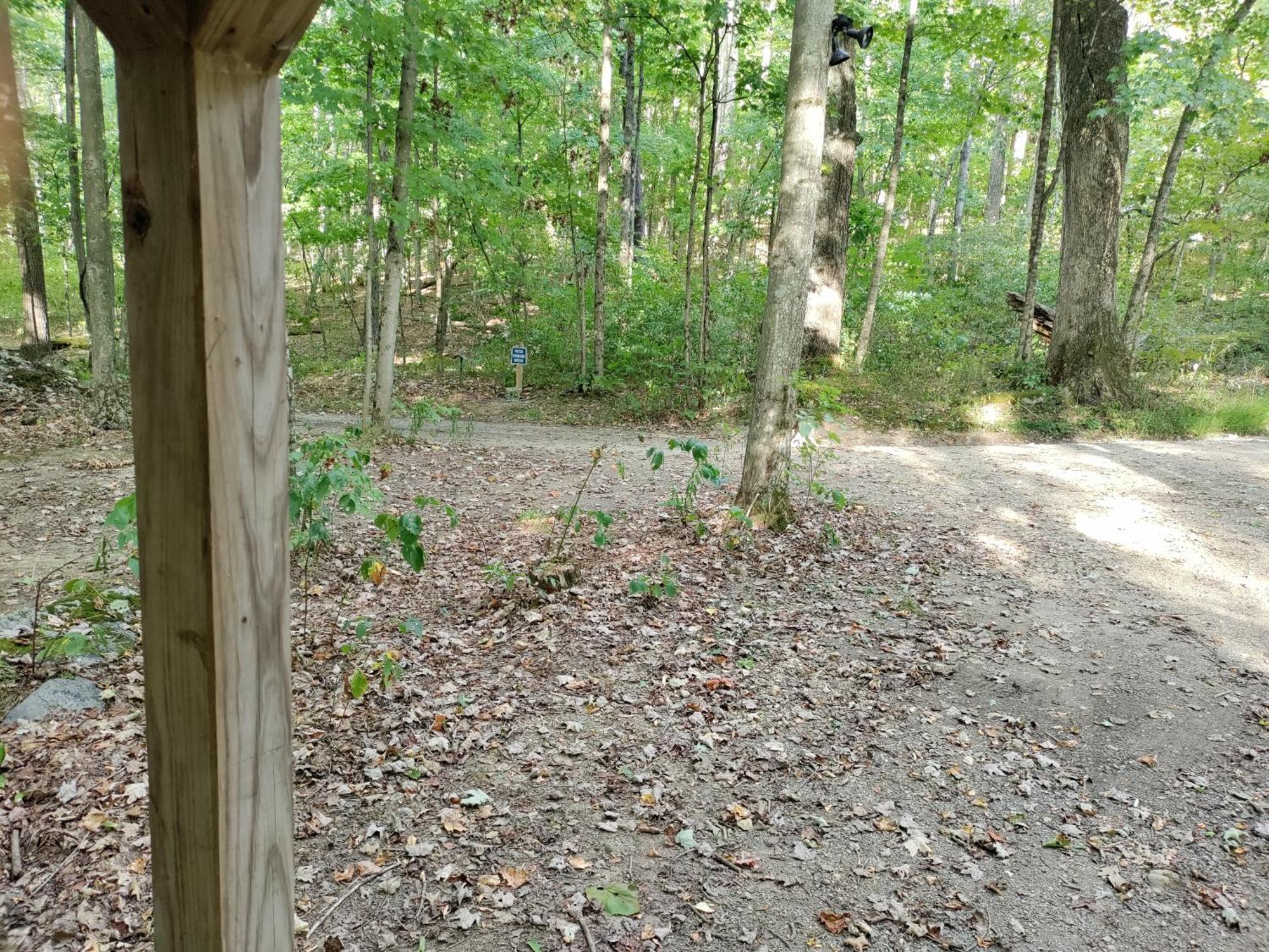 Mount Storm Abrams Creek Campground מראה חיצוני תמונה