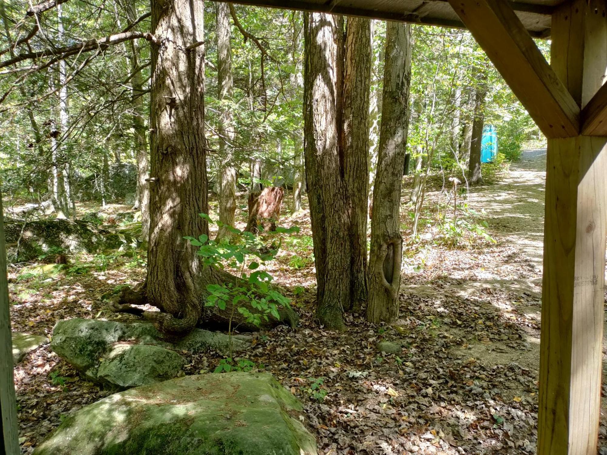 Mount Storm Abrams Creek Campground מראה חיצוני תמונה